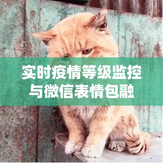 实时疫情等级监控与微信表情包融合新体验