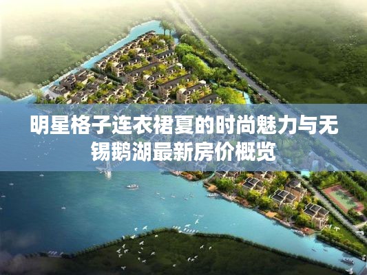 明星格子连衣裙夏的时尚魅力与无锡鹅湖最新房价概览