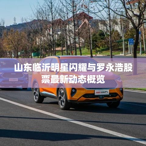 山东临沂明星闪耀与罗永浩股票最新动态概览