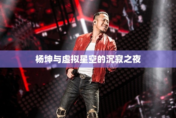 杨坤与虚拟星空的沉寂之夜