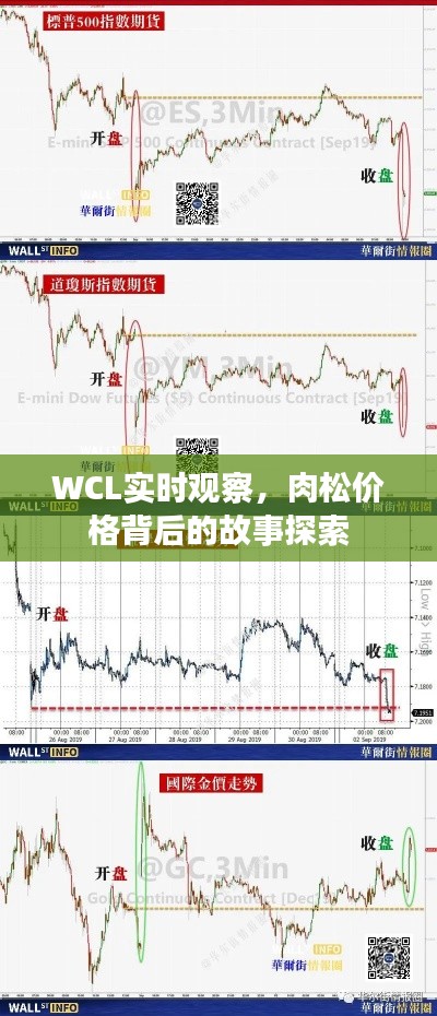 WCL实时观察,肉松价格背后的故事探索