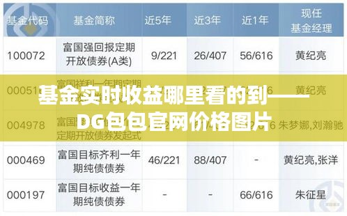 基金实时收益哪里看的到——DG包包官网价格图片
