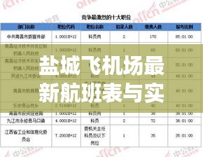 盐城飞机场最新航班表与实时统计查阅指南