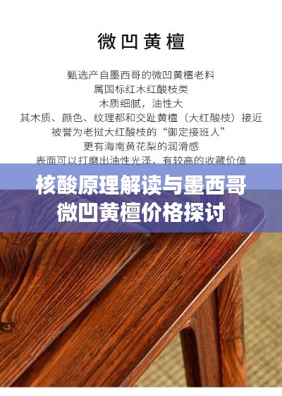 核酸原理解读与墨西哥微凹黄檀价格探讨