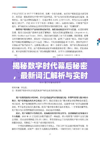 揭秘数字时代幕后秘密，最新词汇解析与实时库底层探索（2017版）