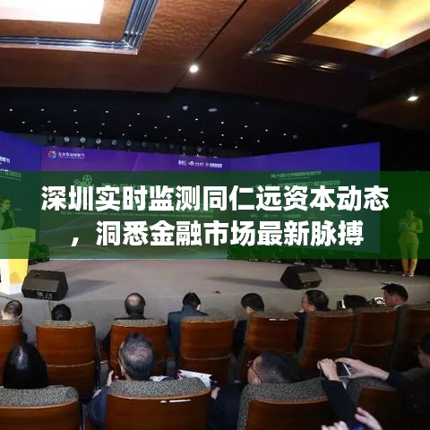 深圳实时监测同仁远资本动态,洞悉金融市场最新脉搏