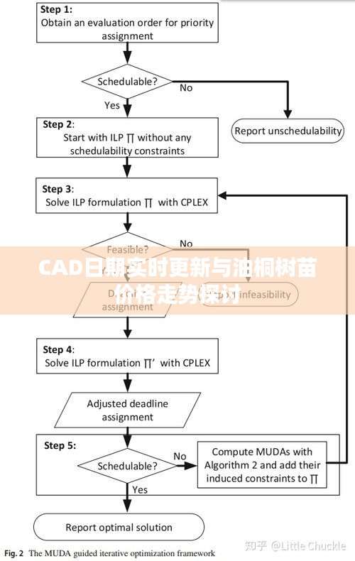 CAD日期实时更新与油桐树苗价格走势探讨