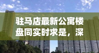 驻马店最新公寓楼盘同实时求是，深度解读与策略探讨