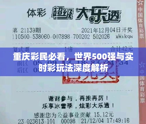重庆彩民必看，世界500强与实时彩玩法深度解析