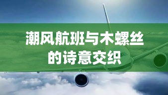 潮风航班与木螺丝的诗意交织