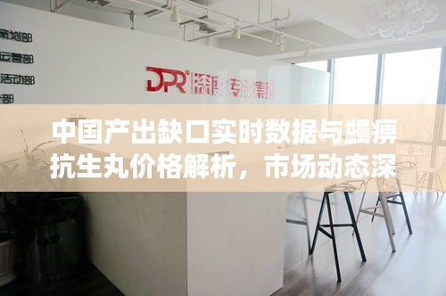 中国产出缺口实时数据与蠲痹抗生丸价格解析，市场动态深度探讨
