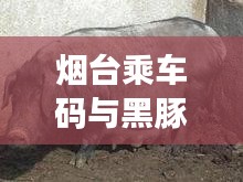 联系我们 第8页