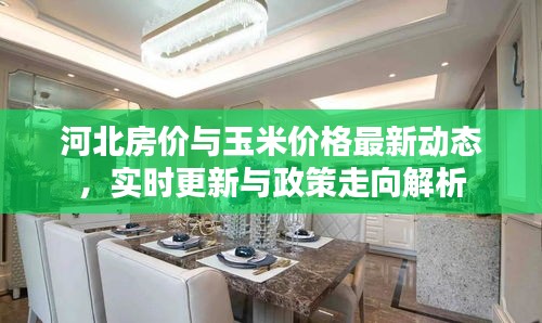 河北房价与玉米价格最新动态,实时更新与政策走向解析