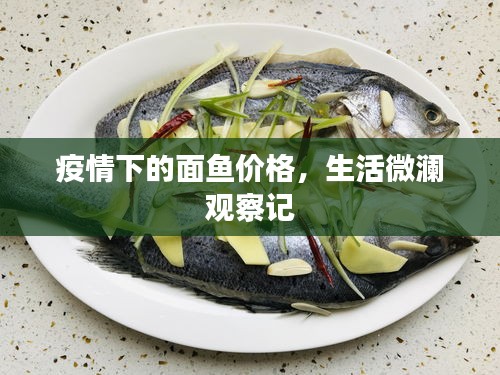 疫情下的面鱼价格,生活微澜观察记