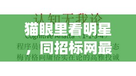 猫眼里看明星,同招标网最新招标信息的深度解读与警示