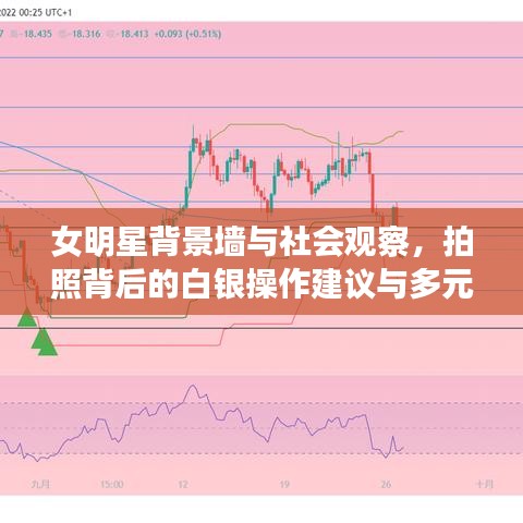 女明星背景墙与社会观察，拍照背后的白银操作建议与多元解读