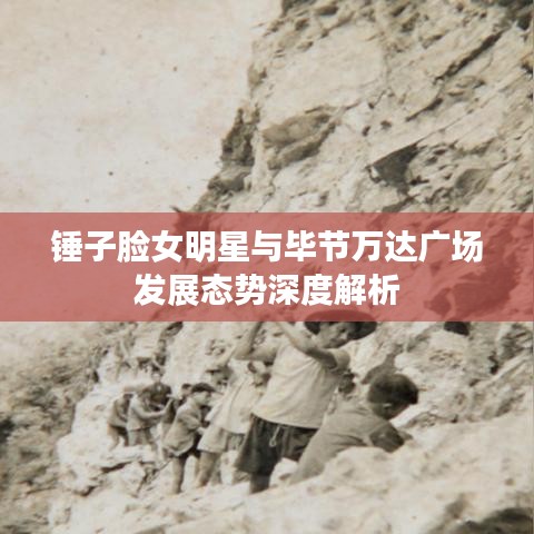 锤子脸女明星与毕节万达广场发展态势深度解析