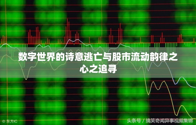 数字世界的诗意逃亡与股市流动韵律之心之追寻