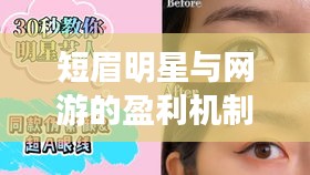 短眉明星与网游的盈利机制及其影响探究