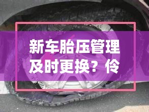 新车胎压管理及时更换?伶俐镇发展规划揭秘
