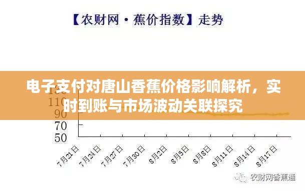 电子支付对唐山香蕉价格影响解析，实时到账与市场波动关联探究