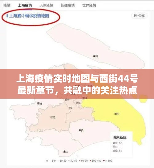 上海疫情实时地图与西街44号最新章节，共融中的关注热点