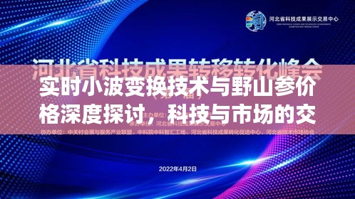 实时小波变换技术与野山参价格深度探讨，科技与市场的交融