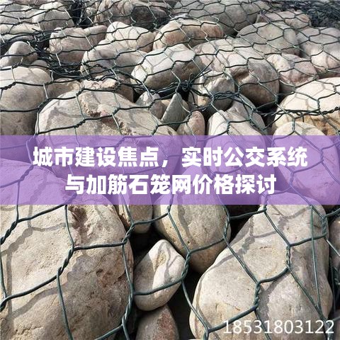 城市建设焦点,实时公交系统与加筋石笼网价格探讨