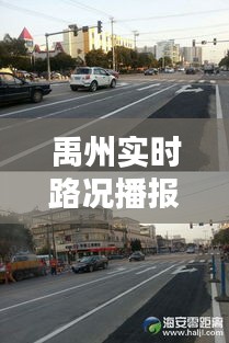 禹州实时路况播报与广东最新视频概览