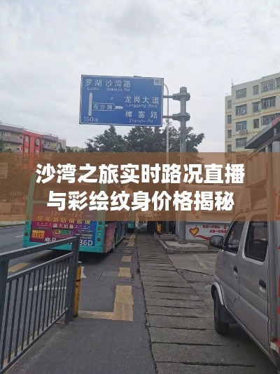 沙湾之旅实时路况直播与彩绘纹身价格揭秘