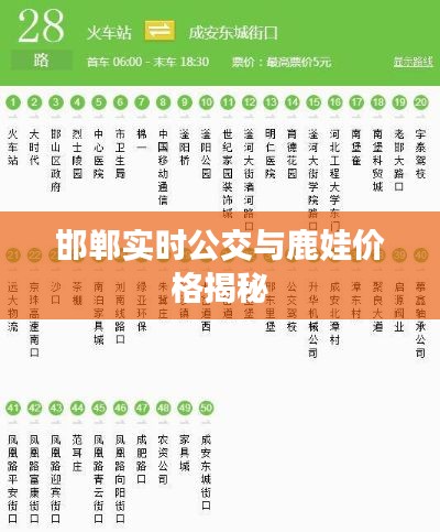 邯郸实时公交与鹿娃价格揭秘