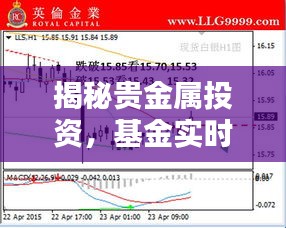 揭秘贵金属投资，基金实时值与金拓价格走势解析——以090004基金为例
