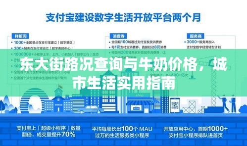 东大街路况查询与牛奶价格，城市生活实用指南