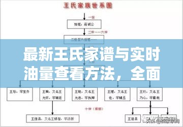 最新王氏家谱与实时油量查看方法，全面释义与操作指南