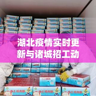 湖北疫情实时更新与诸城招工动态，2017年度报告综述
