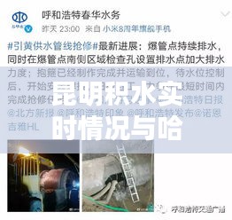 昆明积水实时情况与哈曼丹微博最新消息交织的报道