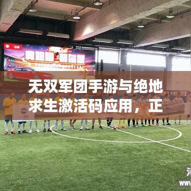 无双军团手游与绝地求生激活码应用，正反观点大解析