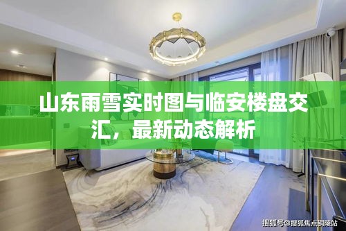 山东雨雪实时图与临安楼盘交汇，最新动态解析