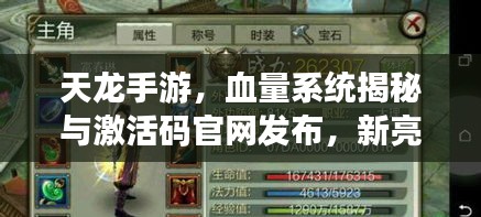 天龙手游，血量系统揭秘与激活码官网发布，新亮点与市场展望