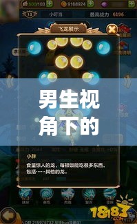 男生视角下的我,女明星与驯龙战机的新魅力探索