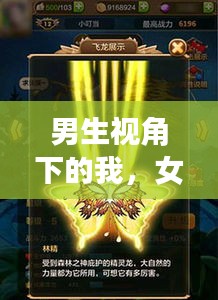 男生视角下的我,女明星与驯龙战机的新魅力探索