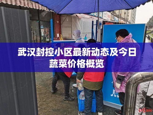 武汉封控小区最新动态及今日蔬菜价格概览