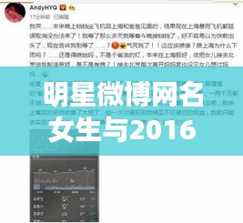 明星微博网名女生与2016秋风寒最新小说，深度解读与价值剖析