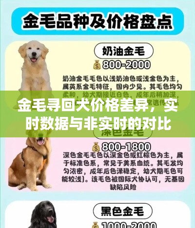 金毛寻回犬价格差异，实时数据与非实时的对比分析