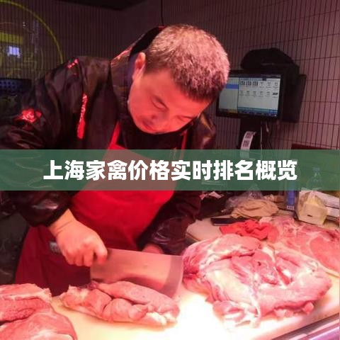 上海家禽价格实时排名概览