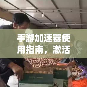 手游加速器使用指南,激活码获取与皮肤攻略全攻略