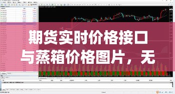期货实时价格接口与蒸箱价格图片,无缝对接市场信息,洞悉市场动态