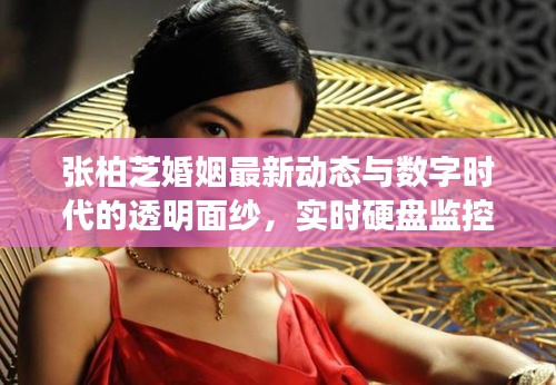 张柏芝婚姻最新动态与数字时代的透明面纱,实时硬盘监控揭秘
