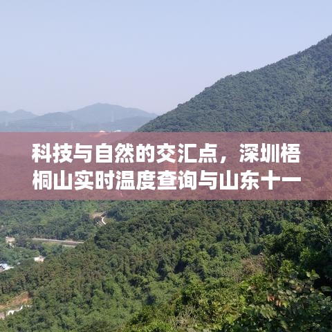 科技与自然的交汇点，深圳梧桐山实时温度查询与山东十一选五最新预测
