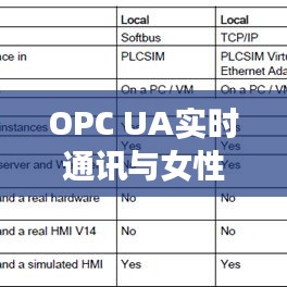 OPC UA实时通讯与女性最新发展阶段探索研究